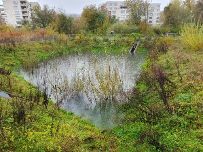 Michele Steiner: «La rétention et l’infiltration de l’eau de pluie nécessitent de l’espace, ce qui fait souvent défaut dans les villes.»