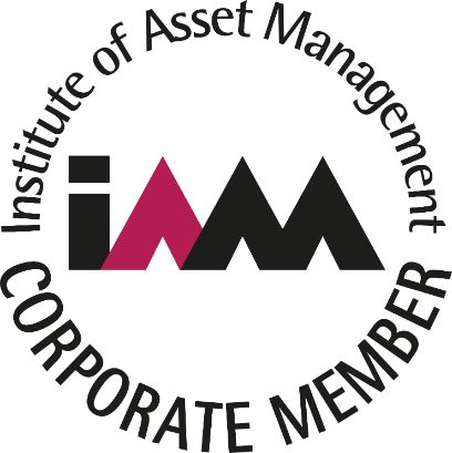 Logo IAM