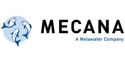 Logo Mecana