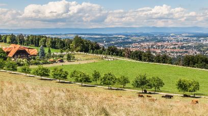 Das «Berner Impulsprogramms für Ernährung, Klima und Umwelt» soll mithelfen, die Klimabilanz des Kantons verbessern. Bild: Adobe Stock