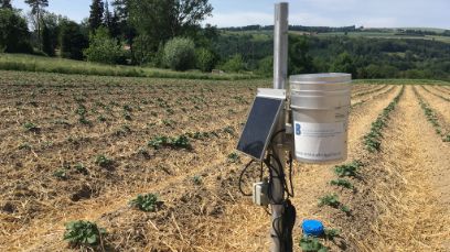Les sondes mesurent le taux d’humidité du sol. (Photo : Andrea Marti) 