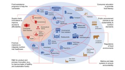 Illustration Système alimentaire complexe : Dans leur étude publiée dans Science, Yi Yang et al. ont identifié 8 champs d’action. 