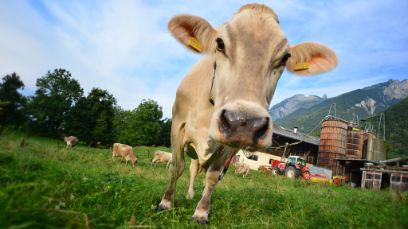 Fachveranstaltung Regionalprodukte