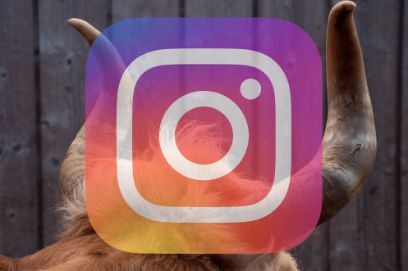 Hoftour Instagram 2021