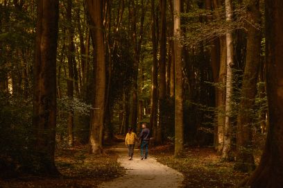 Ein Paar spaziert im Wald.