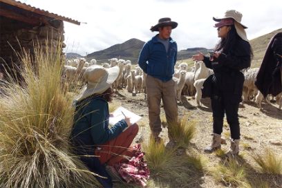 Annina's first day of interviews with Alpaca farmers left a lasting impression of people and agricultural systems thriving in harsh environments.