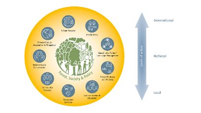 Forest Society Policy BFH-HAFL