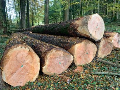 Zofingen Fachveranstaltung Waldleistungen