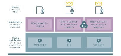 Possibilités de spécialisation dans les études de bachelor