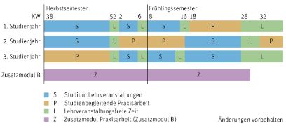 Bachelor of Science in Pflege Studienverlauf