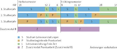 Bachelor of Science Physiotherapie Studienverlauf