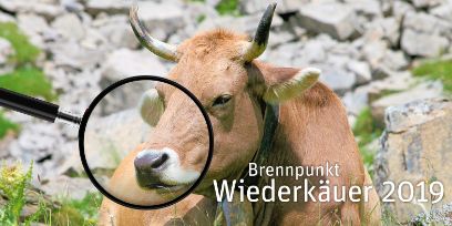 Brennpunkt Wiederkäuer 6.3.19