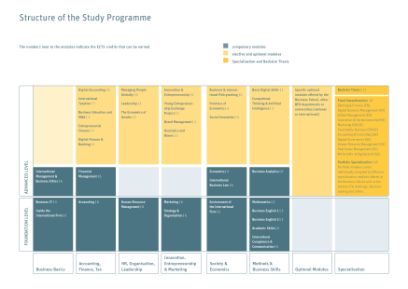 Curriculum Bachelor International Business Administration
