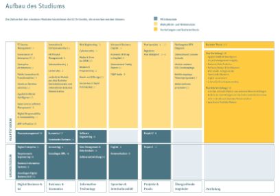 BSc Digital Business & AI Curriculum