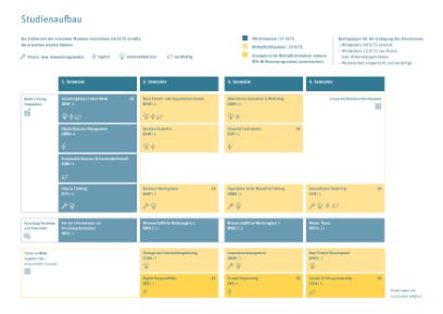 Aufbau Studium MSc Business Administration