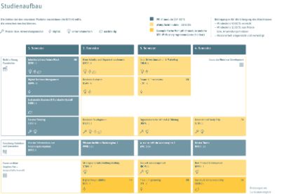 Structure of the MSc in Business Administration