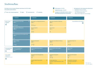 Structure of the MSc in Business Administration