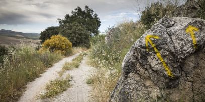 Fachkurs Adherencetherapie