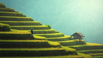 CAS International Food Business