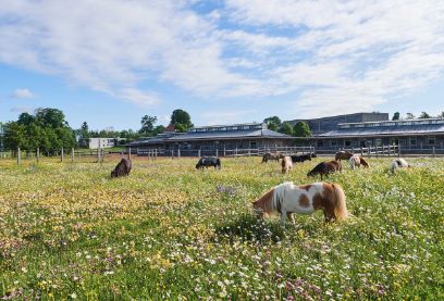 Equilumni besuchen