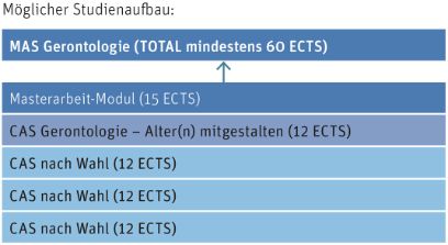 Die Grafik stellt dar, wie der MAS aufgebaut werden kann.