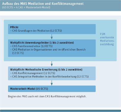 Die Grafik stellt dar, wie der MAS aufgebaut werden kann.