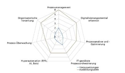 Kompetenzprofil CAS Prozessdigitalisierung