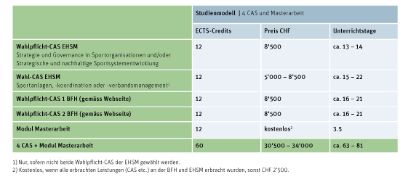 Grafik EMBA Sport