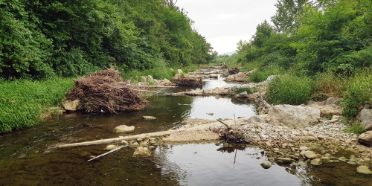 Strukturierungsmassnahmen in einem Fluss.