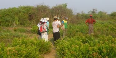 International pre-study on community forestry and climate resilience