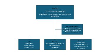 Slide Organisation
