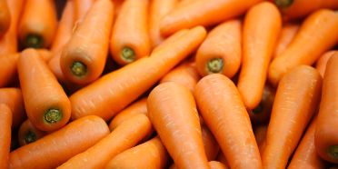 CarrotShield - Karotten vom Feld bis auf den Teller schützen
