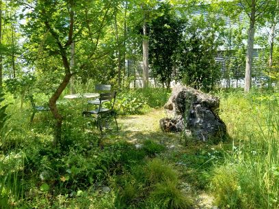 Für den Campus Hoffmann La-Roche in Kaiseraugst erhielt BRYUM 2019 den European Award for Ecological Gardening.