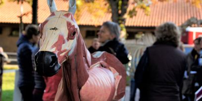 Equigarde Infoveranstaltung