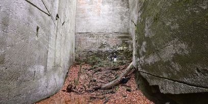 Aufnahme des Steinbruchs. Am Boden liegen altes Laub, Wasser und Äste. Die drei Wände (aus Beton?) sind teilweise mit Moos überwachsen. Kaum zu erkennen sind drei Studierende.