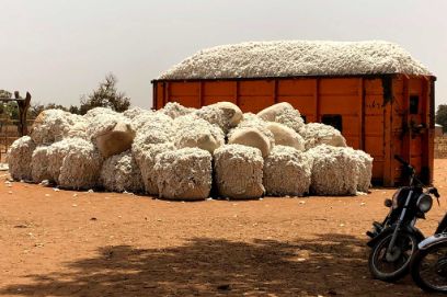VCA4D-study (value chain for development) on cotton in Cameroon