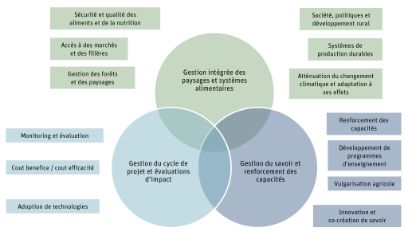 hafl-hpc-institute-services-graphique