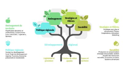 Domaines du développement régional  