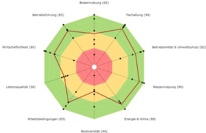 RISE Nachhaltigkeit Analyse Polygon