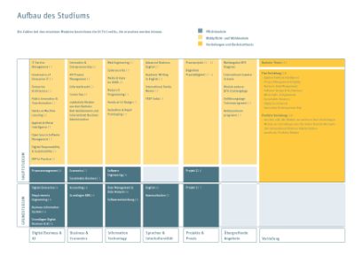BSc Digital Business & AI Curriculum