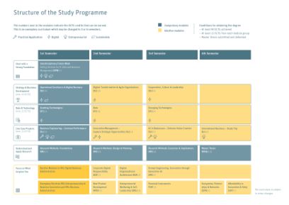 Curriculum: MSc in Digital Business Administration
