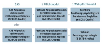 Grafik zu den Aufbaumöglichkeiten des CAS