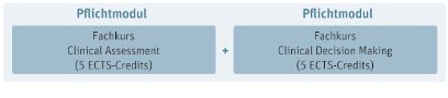 Grafik Aufbau CAS Clinical Assessment and Decision Making