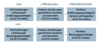 Grafik für die Aufbaumöglichkeiten der CAS-Schwerpunkte