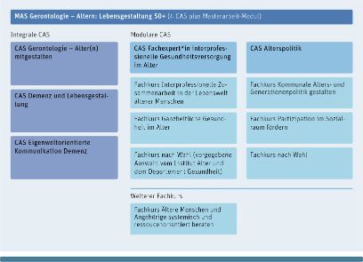Der MAS-Studiengang ist modular aufgebaut und setzt sich aus vier CAS-Studiengängen sowie einem abschliessenden Masterarbeit-Modul zusammen. Zur Auswahl stehen alle vom Institut Alter angebotenen CAS-Studiengänge, wobei der CAS Gerontologie - Alter(n) mitgestalten das Pflichtmodul bildet.