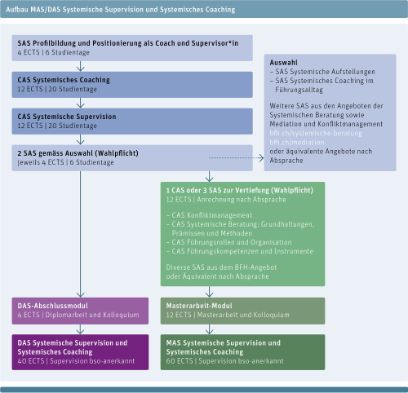 Grafischer Überblick über den Aufbau des MAS/DAS Systemische Supervision