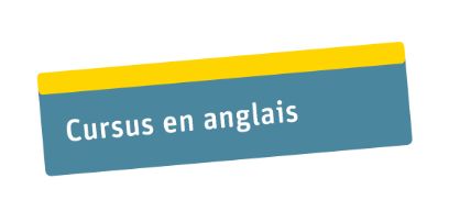 Cursus en anglais