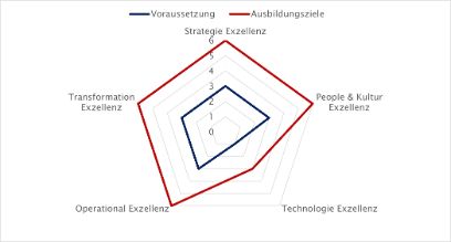 Schematisches Kompetenzprofil
