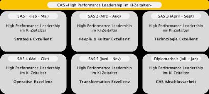Schematische Übersicht der Module, die das CAS High Performance Leadership im KI-Zeitalter bilden.