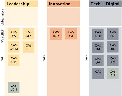 Inhaltlicher Aufbau MAS Inhaltlicher Aufbau MAS Leadership in Innovation & Technology | BFH
